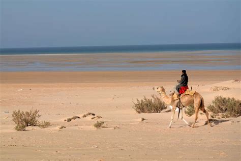 It's long and narrow like the name suggests, this kind of desert is found next to a large body of water. Dakhla - where the desert meets the sea