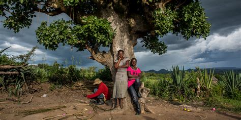 Tanzanian Tribe Of Straight Women Who Marry Each Other Kurya Tribe