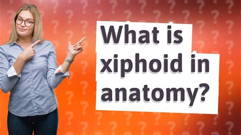 What Is Xiphoid In Anatomy Youtube