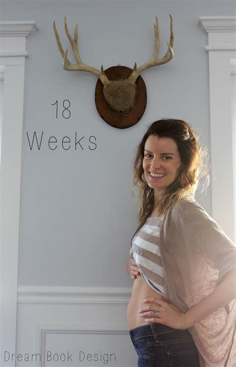 18 Weeks Pregnant And Gender Reveal Dream Book Design