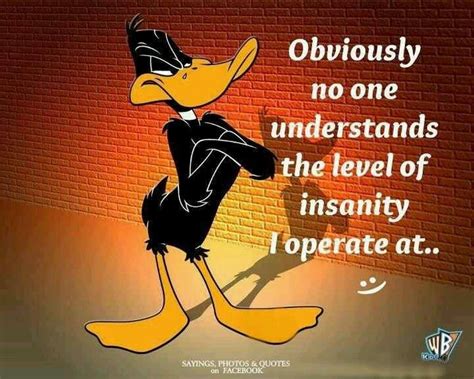 67 Best Images About Daffy Duck On Pinterest