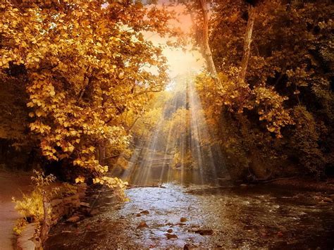 Autumn River Light Rays River Sunlight Glow Colors Nice Shine