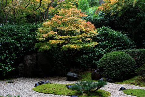 49 Zen Garden Wallpaper Desktop On Wallpapersafari
