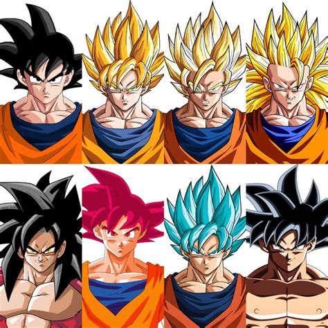 Goku Y Todas Sus Fases