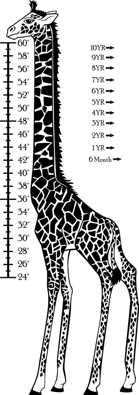 Laughing Giraffe Size Chart
