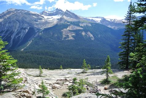 Banff Hiking Trails 6 Must Do Hikes In Banff