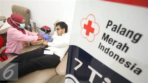 Kerangka acuan bank donor darah desa kebumen. Stok Kosong, PMI Surabaya Minta Penyintas COVID-19 Donor ...