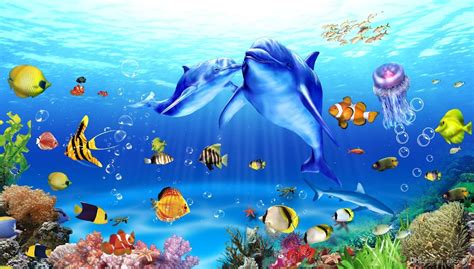 Sea World Wallpapers Top Free Sea World Backgrounds Wallpaperaccess
