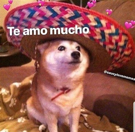 Romantic Love Memes In Spanish
