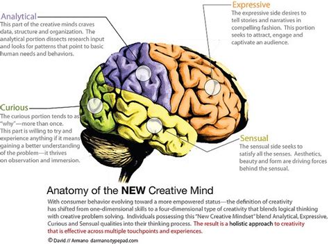 New Creative Mind Creative Mindfulness Brain Based Learning
