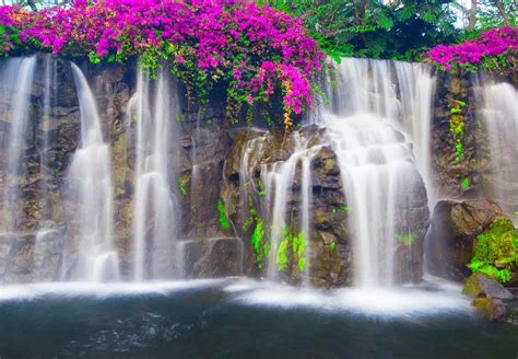 Lush Waterfall And Flowers Landscape Wall Mural