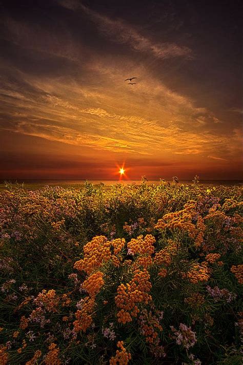 The Light Of Day Art Print By Phil Koch Beautiful Landscapes