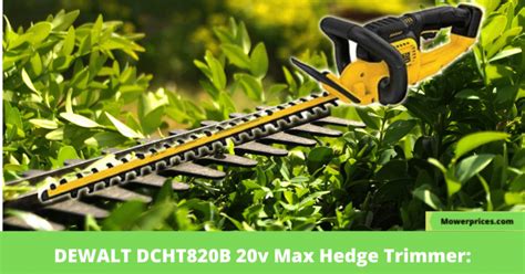 Best Corded Hedge Trimmer For Thick Branches - Best Hedge Cutter For Thick Branches
