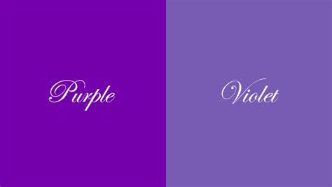Discover more posts about 퍼플. 퍼플(Purple)과 바이올렛(Violet) 차이점
