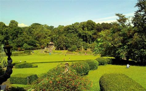 Harga Tiket Masuk Kebun Raya Bogor