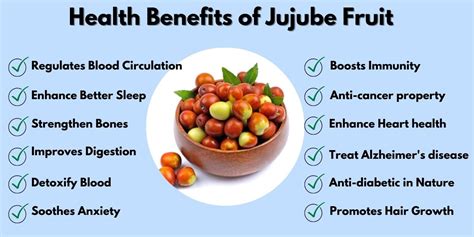 Jujube Fruit Ber 14 Amazing Benefits Nutrition And Recipes