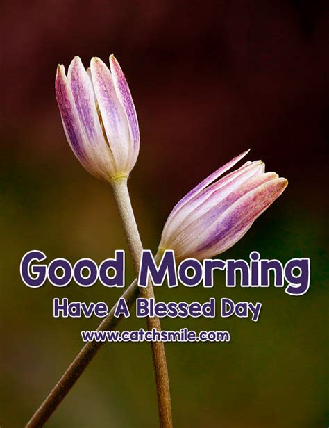 Good Morning Have A Blessed Day Pictures Photos And Images For