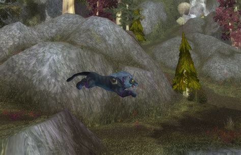 Worgen Druid Kitty Wow Screenshot Gamingcfg