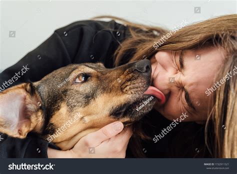 Are Dog Licks Kisses