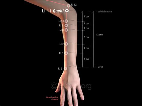 Quchi Li 11 Master Tungs Acupuncture Elotus Core