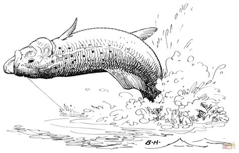 Students work in teams of two or small groups to research the anatomical similarities and differences among fish species. Trout Jump 2 coloring page | Free Printable Coloring Pages