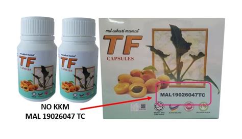 Sebelum itu, anda harus mengeluarkan bibit anggrek dari dalam botol. CIRI TF ASLI - Keladi Tikus Asli
