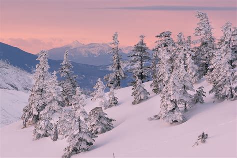 Sfondi La Neve Natura Paesaggio Inverno 2048x1365
