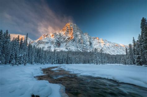 Photo Mount Chephren Banff National Park Alberta Free Pictures On Fonwall