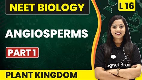 Angiosperms Part 1 Plant Kingdom L16 Concepts Neet Biology