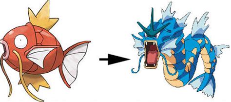 Mudkip is a cute and powerful, starter pokemon from the 3rd generation. Pokémon | What The Games Mean