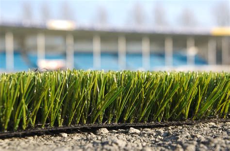 How Can I Temporarily Grow Grass On Concrete Gardening And Landscaping