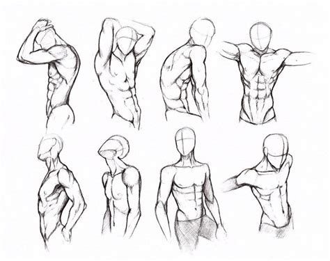 Mejores Imagenes De Referencia De Anatomia Dibujo De Figura Images