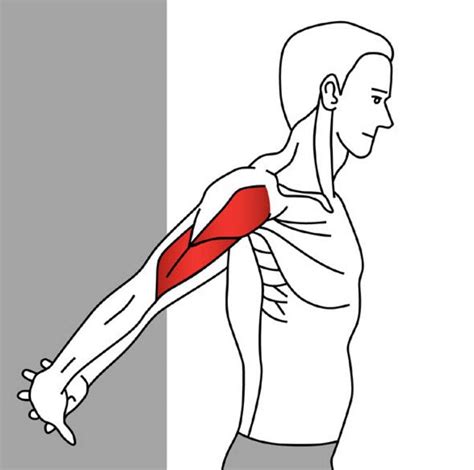Shoulder ПЛЕЧИ Stretching For Pain Relief Anterior Deltoid
