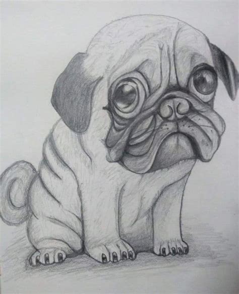 How To Draw Animals 60 Easy Pencil Drawings Of Animals