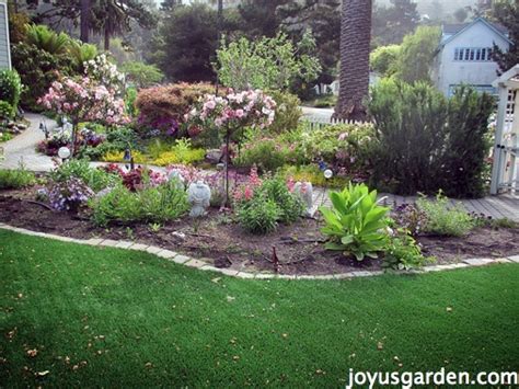How To Prepare And Plant A Flower Bed