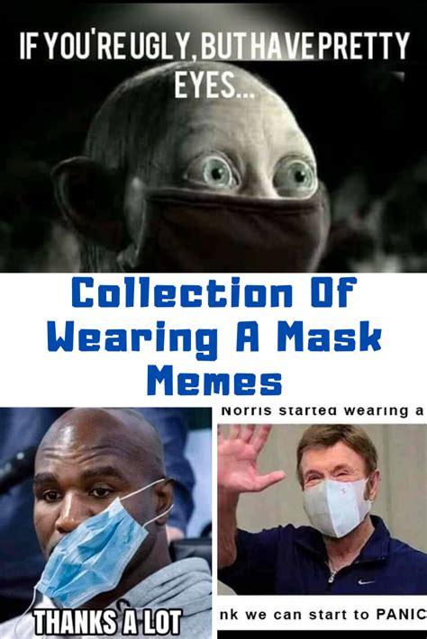 Funny Collection Of Wearing A Mask Memes Guide For Geek Moms