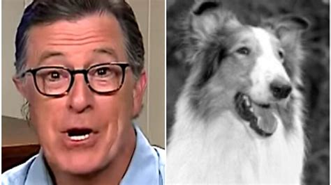 Stephen Colbert Compares Trump Attack On Fauci To Lassie Licking Her