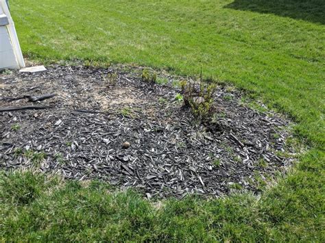 Stump removal tips, call or text for a quick accurate stump grinding removal quote! Stump removal advice? #gardening #garden #DIY #home # ...