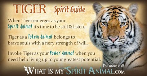 Tiger Symbolism And Meaning Spirit Totem And Power Animal Tiger Spirit