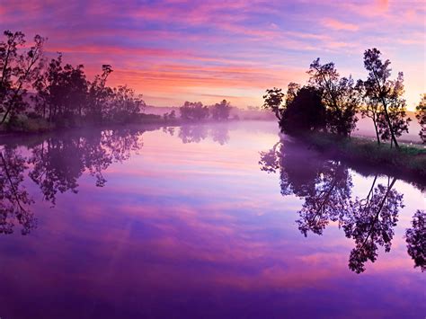 Purple Cloudy Sky Above Lake With Trees Reflection 4k 8k Nature Hd