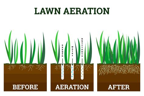 Is Your Lawn Ready For Fall In The Midwest Autumn Lawn Care Tips