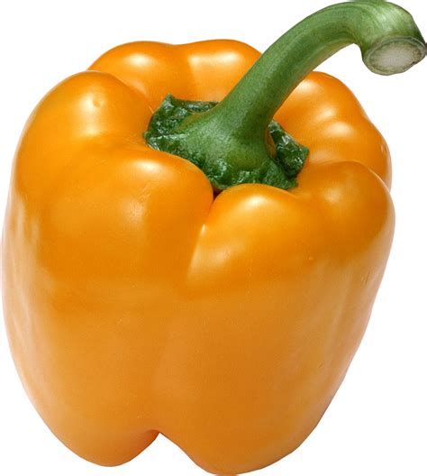 Chili Pepper Png Free Logo Image