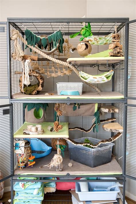 Critter Nation Jungle Theme Rat Cage Accessories Pet Rat Cages Rat Cage