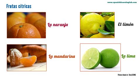 Citrus Fruits Names In English Tere Fruit