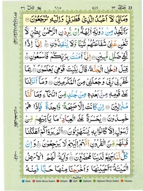 Quran With Tajwid Surah 36 ﴾القرآن سورۃ يس﴿ Yaseen Yasin 🙪 Pdf