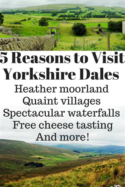 5 Reasons To Visit Yorkshire Dales Review Of My