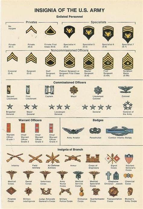 Insignia Of The Us Army Guide Coolguides Military Ranks Army Ranks