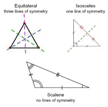 The three altitudes of an equilateral triangle are also lines of symmetry. Reflection Symmetry - Line of Symmetry | Problems and ...