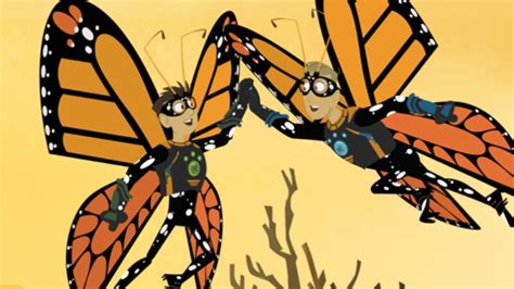 Raising Monarch Butterflies Crafts For Kids Pbs Kids For Parents