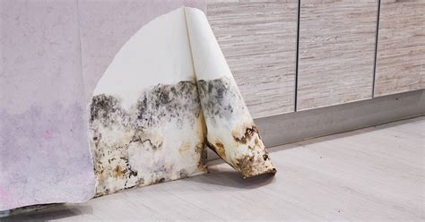 Located in cherry hill, nj, dwell luxury apartments by the klein company is a completely unique experience in 21st century living. Cherry Hill Workers' Compensation Lawyers | Symptoms of Mold